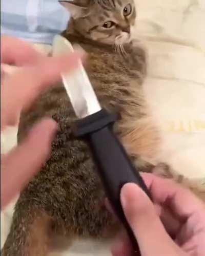 BeelcitosMemes - Video #2490