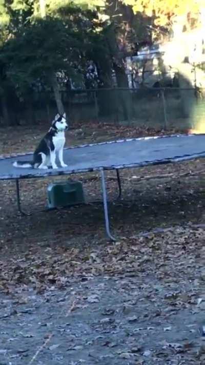 When you're happy and all of a sudden you remember all of your problems