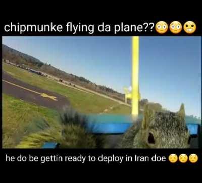 mods are asleep, chipmunke time 😠🐿