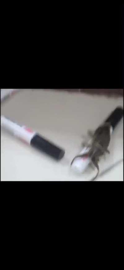 Someone requested this