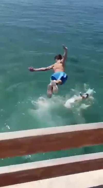 Could have been worse