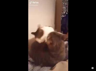 Hey what are youuuuuu