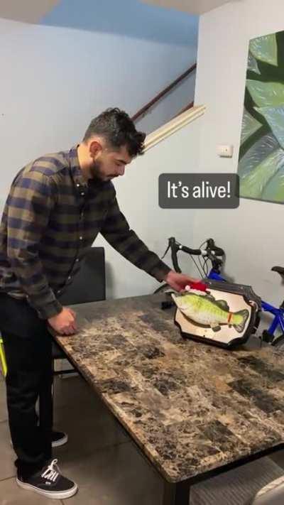 I hacked my Billy Bass