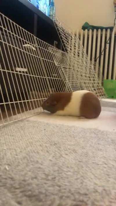 DISRESPECT YOUR SURROUNDINGS