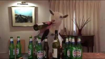 How is your weekend going? Me