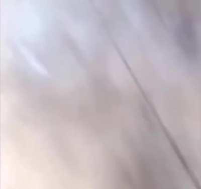 Mi perro actúa raro, no creen?