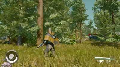 Loving the coniferous forests!