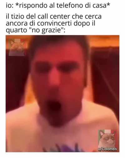 Tenace il tipo