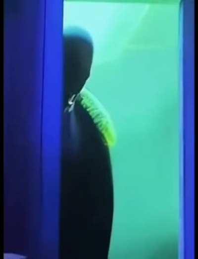 Spired-uhh : into the uhh verse