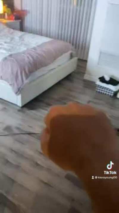 The best one 🍒I have seen so far , mmm