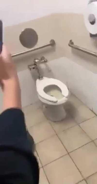 Kids put something in the toilet