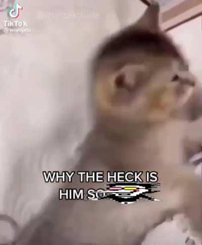 Why he built like a [[HYPERLINK BLOCKED]] Source: me