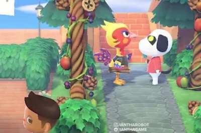 I think I discovered what lucky's bandages are for