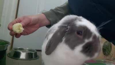 Maximum volume for maximum enjoyment