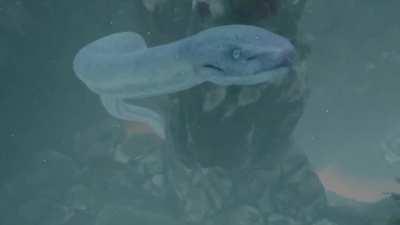 TIL you can be eaten by the Great Serpent.