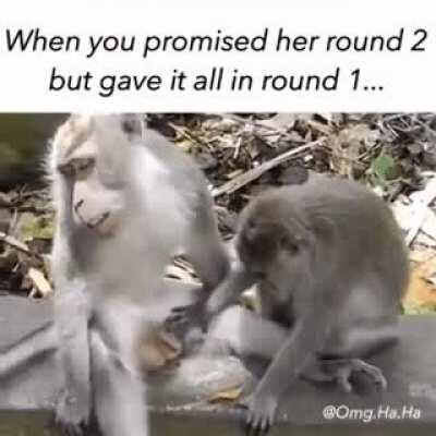 Не обещай большего, чем можешь дать