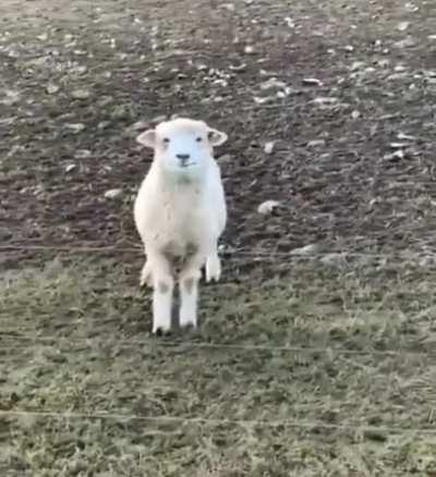 Did you take the picture? Do I look good