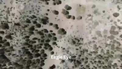 Quadcopter drone strike carried out on Pakistani Taliban (TTP) militants by security forces of Pakistan in Shawal Tehsil of North Waziristan District, Khyber Pakhtunkhwa. [30 May - 1 June 2025]