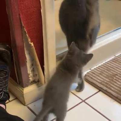 HMC while I take down these giants