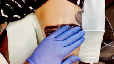 Turtle power. Process.