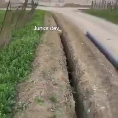 Senior Dev trying to help Junior! Can't stop laughing 😂