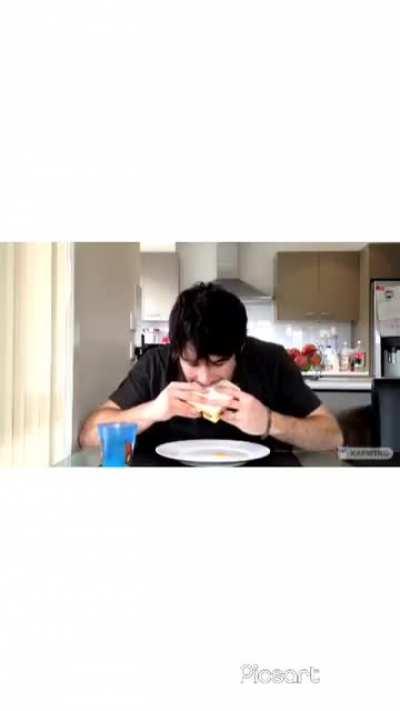 Thanks, I hate cat sandwhich