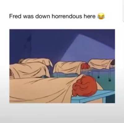 Excuse me Fred, but wtf??
