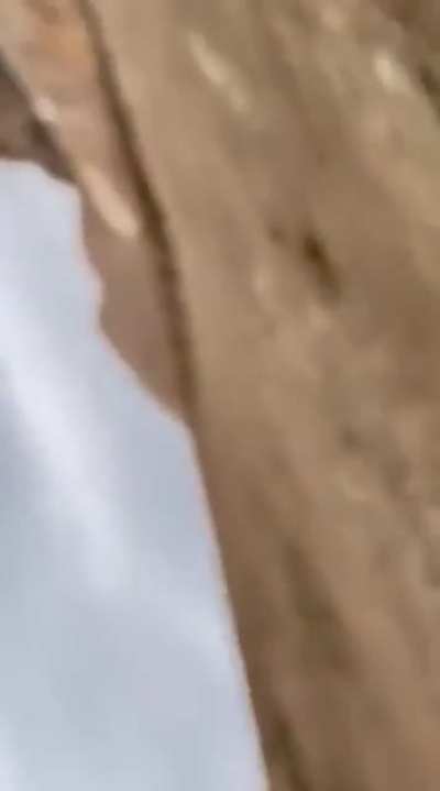 Settlers sending their kids to attack Palestinian villages... just another day in the West Bank