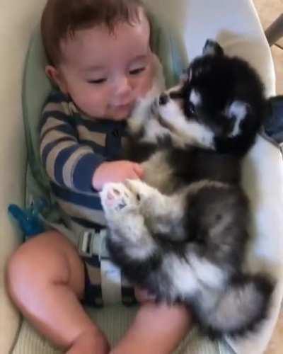 little human and smol pupper's quality time