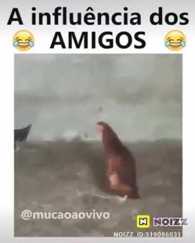 Meu pai me mandou outro vídeo