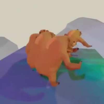 Bears are in da house again