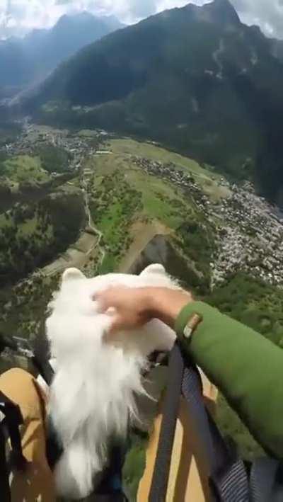 Other bois won't believe him