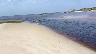 Their favorite place