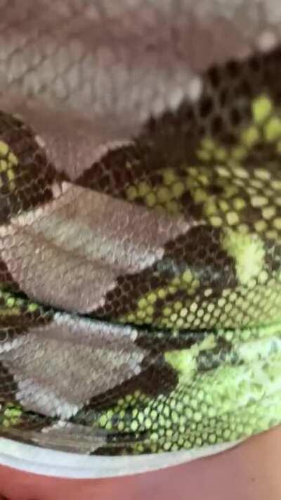 Slapping a cock on my pussy always makes me gush!