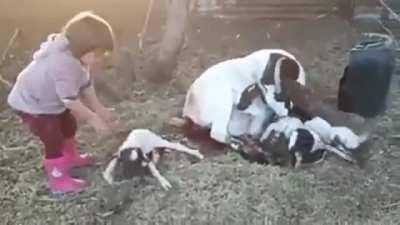 I think she’s Russian