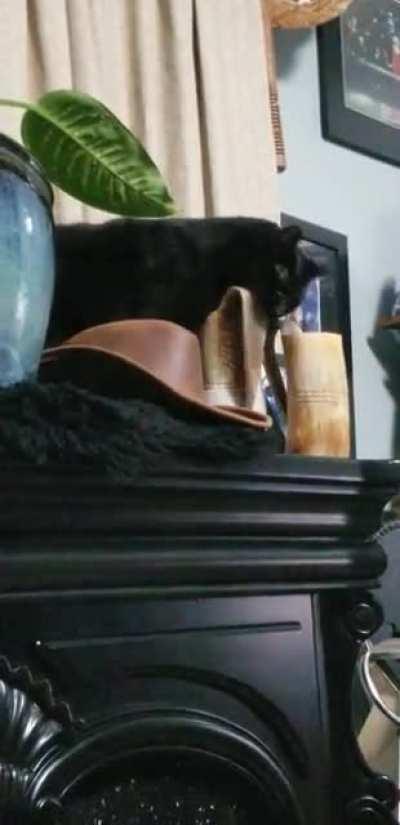 This is why I can't have nice things