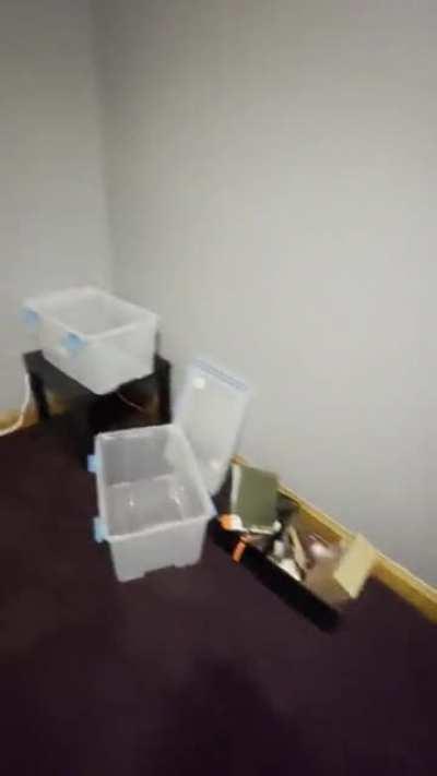 Roommate moved out, starting the dedicated print room remodel