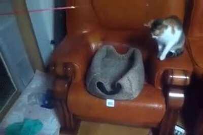 The master training the apprentice