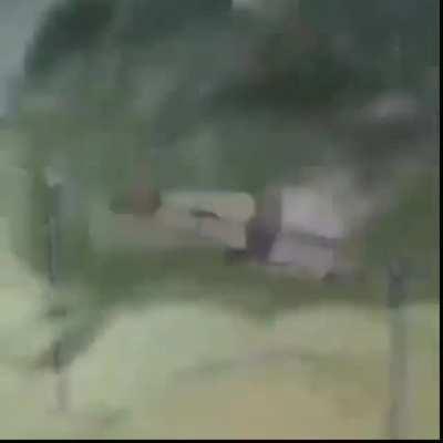 Watch Nichijou, it's a masterpiece