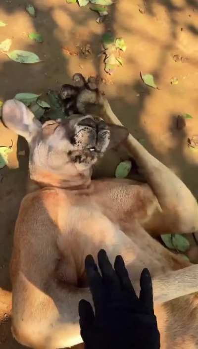 The morning after a night out🤗