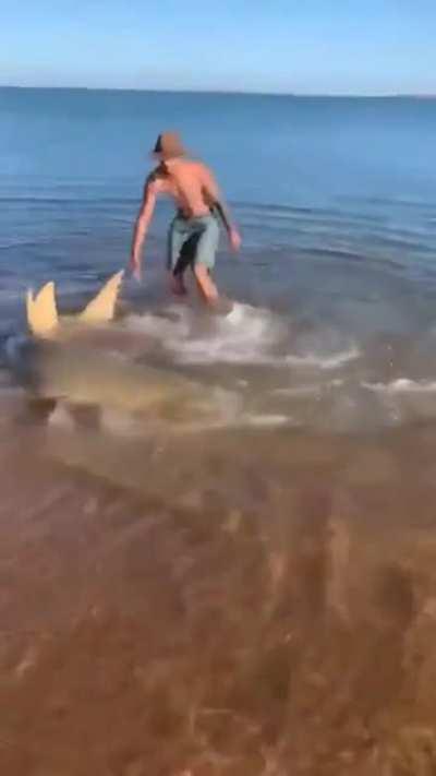 Man helps shark get back in the water