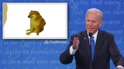 joE boden vsn donald trimp rape battel!!!