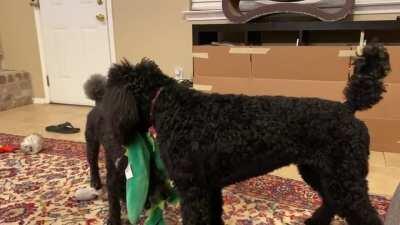 Best friends sharing