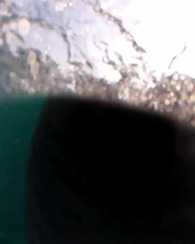 La cara del que te toma el siniestro en el seguro cuando le decís que te choco una ballena: 🤨