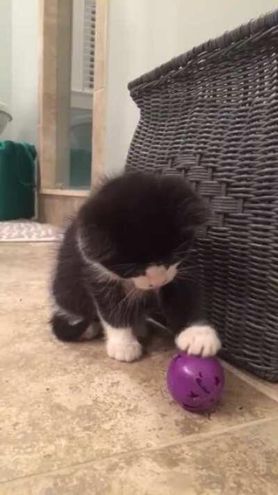 Today’s this criminals 3rd birthday