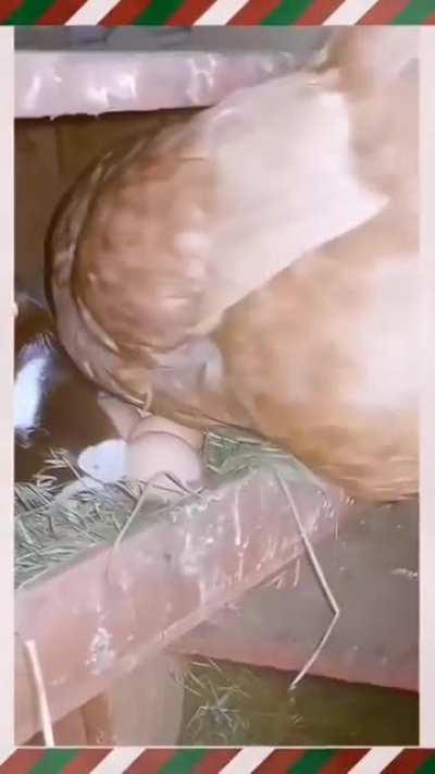 We can share, I guess