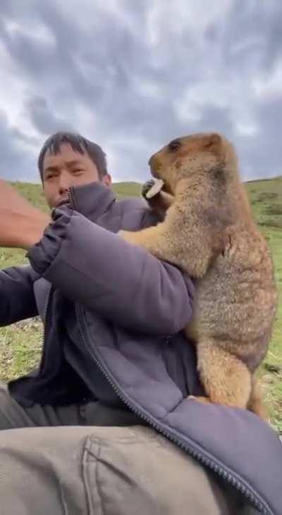 ÐÑÐ¶Ð¸Ðº, Ð´Ð°Ð¹ Ð¿ÐµÑÐµÐ½ÑÐºÑ
