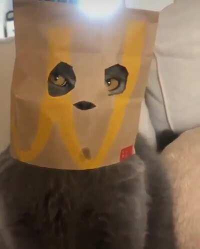 Nobody cared who I was, until I put on the mask