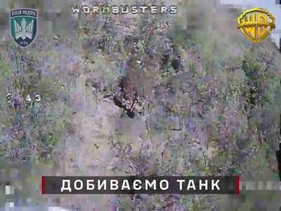 Ukrainian Wormbusters of the 414th UAS Brigade Magyar's Birds took out a Russian Grad MLRS, a tank, vehicles and other equipment. Pokrovsk direction. Published 15.09.2025