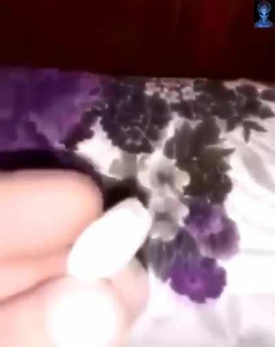 Can anyone clarify wtf is this